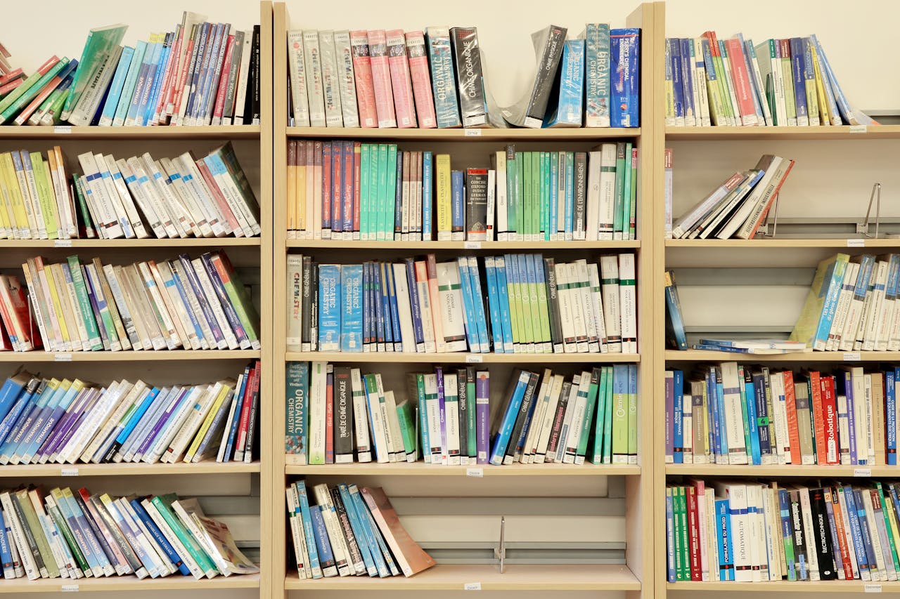 gallery-1 Vibrant books neatly arranged on library shelves in Fès, Morocco.